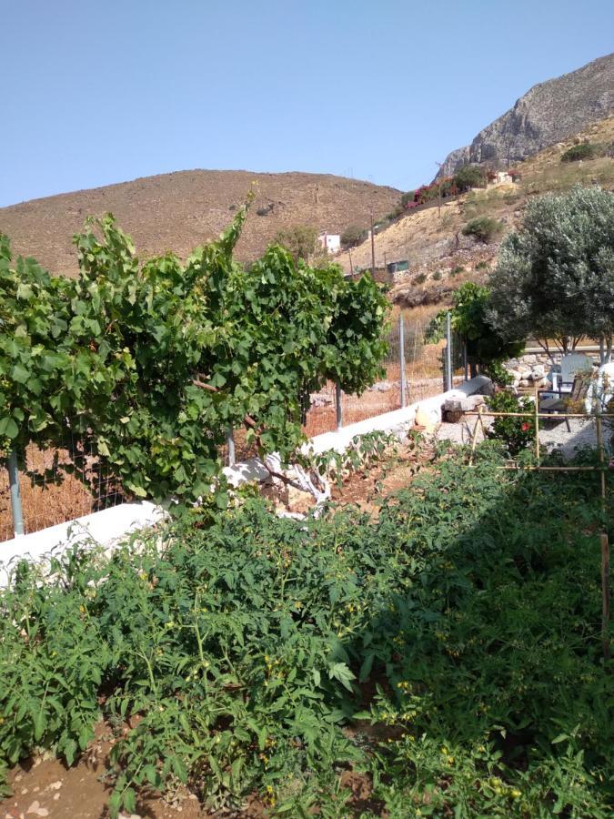 Villa Polymnia Emborios Buitenkant foto